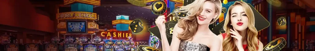 08PHP Live Casino